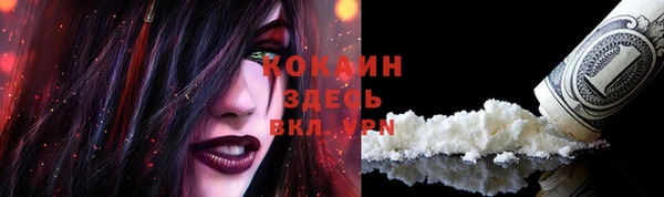 МДПВ Абаза