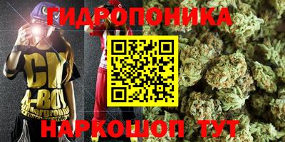 каннабис Вышний Волочёк