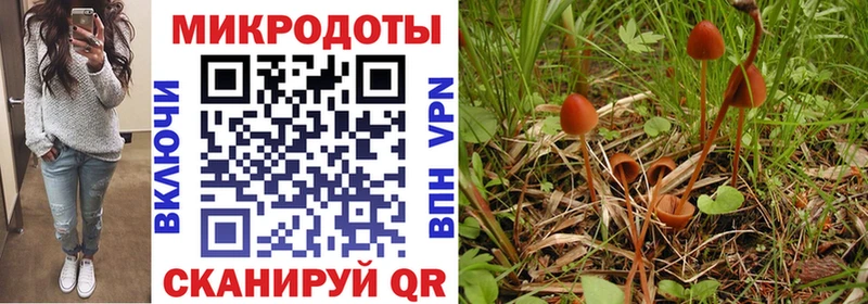 Псилоцибиновые грибы GOLDEN TEACHER  где найти наркотики  Североморск 